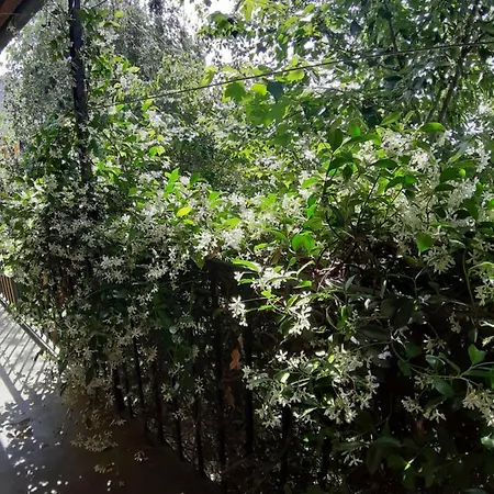 Casa De Colores Feriegård *