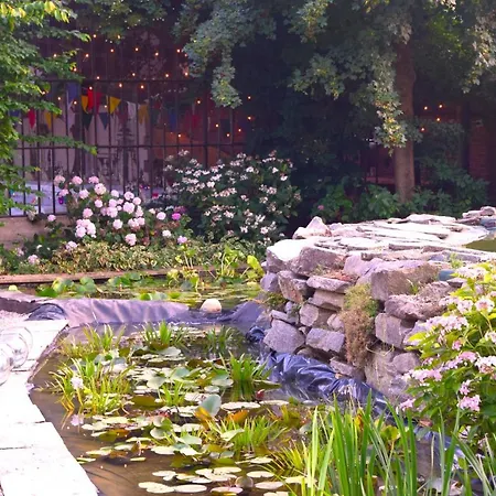 Casa De Colores Moretta