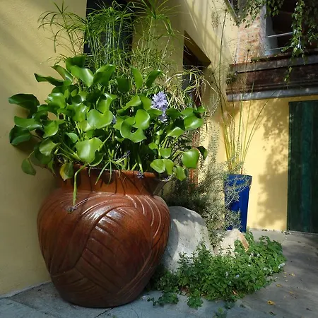 Çiftlik konaklama Casa De Colores *
