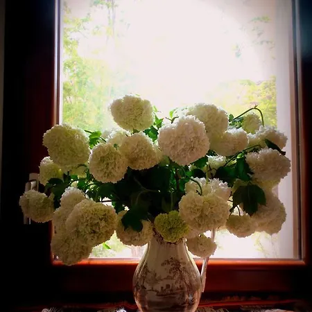 Feriegård Casa De Colores