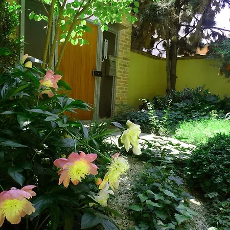 Vakantieboerderij Casa De Colores Moretta