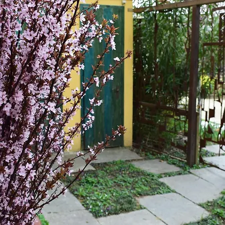 Casa De Colores Çiftlik konaklama
