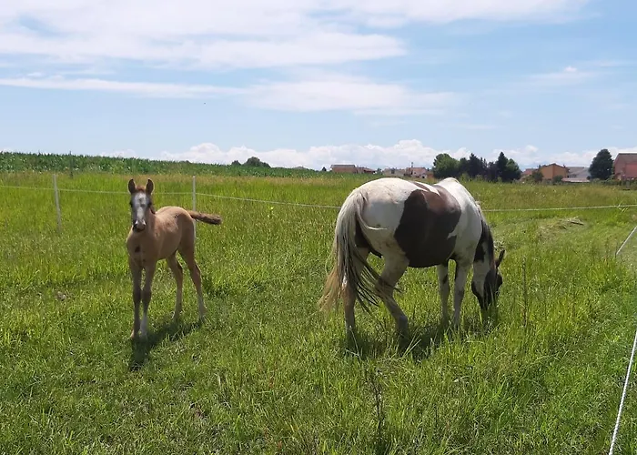 Casa De Colores * Moretta