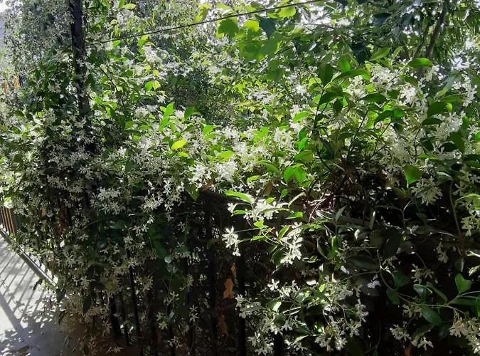 Casa De Colores Alojamento de Turismo Rural *