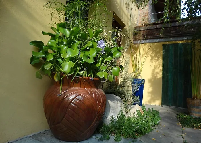 Alloggio per agriturismo Casa De Colores *