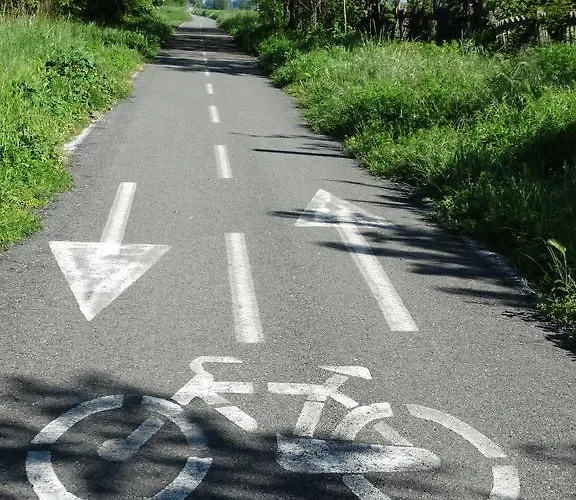 Alojamento de Turismo Rural Casa De Colores *