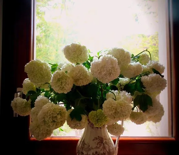 Alojamento de Turismo Rural Casa De Colores