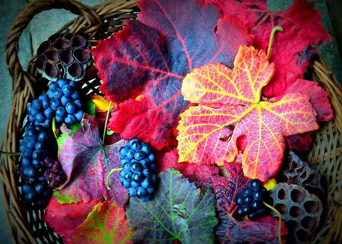 Casa De Colores Alojamento de Turismo Rural